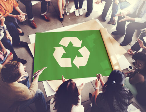 Top 3 Ways to Make Your Business More Eco-Friendly